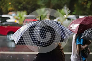 Lady with an umbrella in the rain