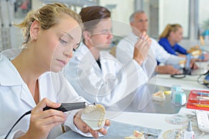 Lady working on dental impressions