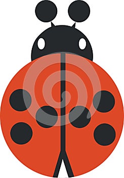 Ladybird 02