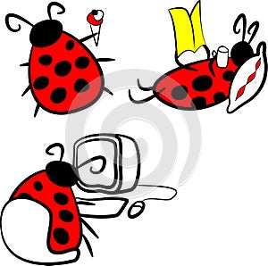 Ladybird