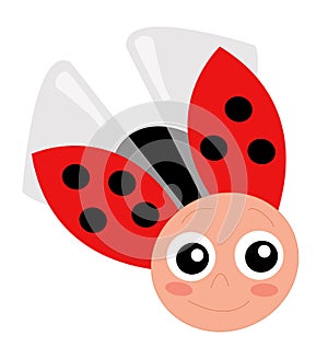 Ladybird