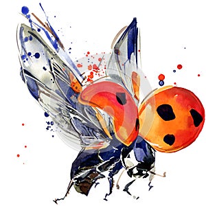 Ladybird beetle T-shirt graphics, ladybird illustration with splash watercolor textured background.