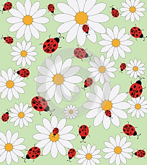 Ladybird and daisy vector pattern