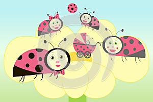 Ladybird family illustration