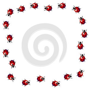 Ladybird frame