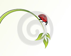 Ladybird in the grass