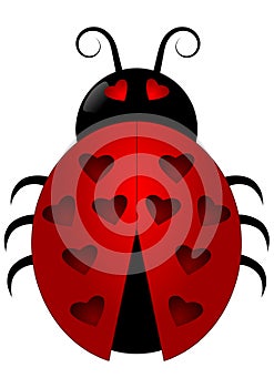 Ladybird with heart spots