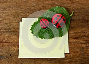 Ladybird and paper