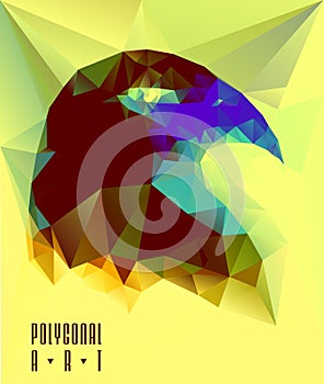 Ladybird polygonal