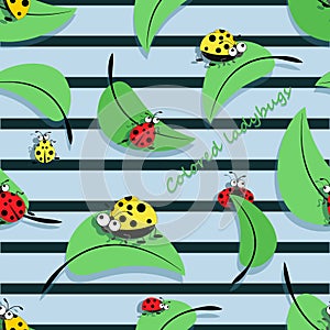 Ladybird. Striped background. Colored Ladybugs on leaves. Vector cartoon character.