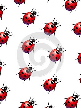Ladybirds