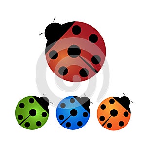 Ladybirds