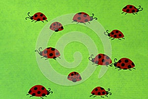 Ladybirds on green background