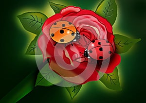 Ladybirds illustration clipart on rose flower