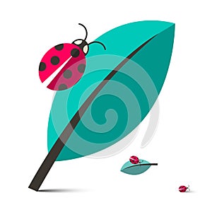 Ladybirds - Ladybugs on Leaf Vector Illustration