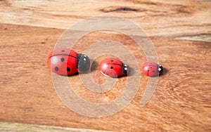 Ladybirds made of wood