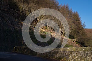 Ladybower resovoir in uk with late winter sun.