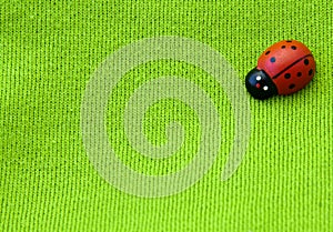 Ladybug