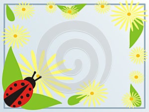 Ladybug