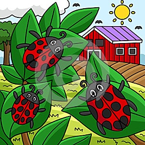 Ladybug Animal Colored Cartoon Illustration