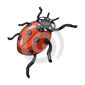 Ladybug is an arthropod.The insect beetle,ladybug single icon in cartoon style vector symbol stock isometric