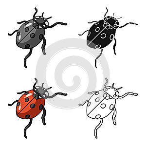 Ladybug is an arthropod.The insect beetle,ladybug single icon in cartoon style vector symbol stock isometric