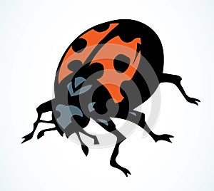 Ladybug beetle. Vector drawing icon