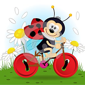 Ladybug on bike