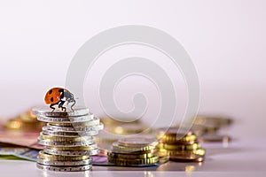 Ladybug on a bunch of european money with coins and bank notes international finance with euro, europe, financial trade