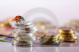 Ladybug on a bunch of european money with coins and bank notes international finance with euro, europe, financial trade