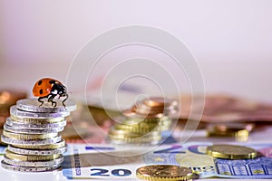 Ladybug on a bunch of european money with coins and bank notes international finance with euro, europe, financial trade