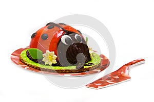 Ladybug cake