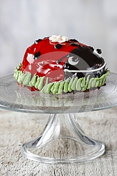 Ladybug cake