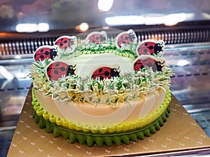Ladybug cake.