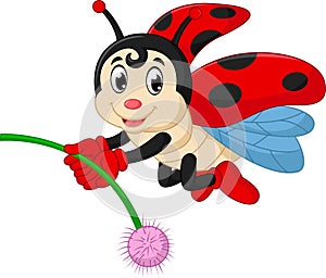 Ladybug cartoon