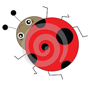 Ladybug in cartoon style. Vector illustration