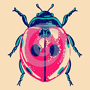 Ladybug. Colorful cute screen printing effect. Riso print effect. Vector