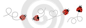 Ladybug flat icon set. Ladybugs flying on dotted route. Cartoon ladybirds