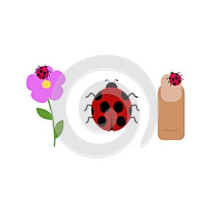 Ladybug on flower and finger on white background. Set of clip arts with ladybird. Cute flat insect. Cartoon vector