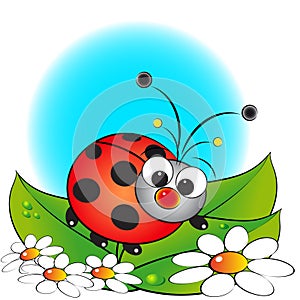 Setto di coccinella un fiori illustrazioni 