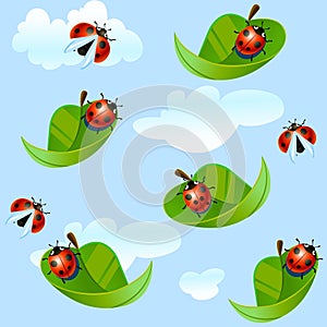 Ladybug fly on a leaf