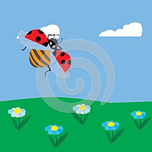 Ladybug flying over the meadow