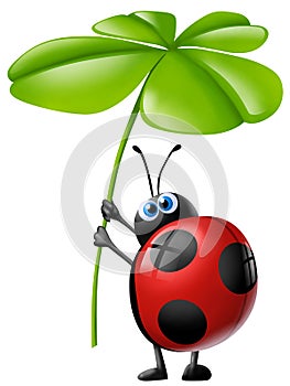 Ladybug with four-leaf clover