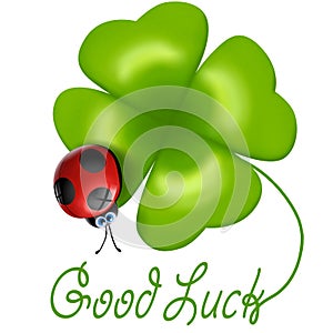Ladybug with four-leaf clover