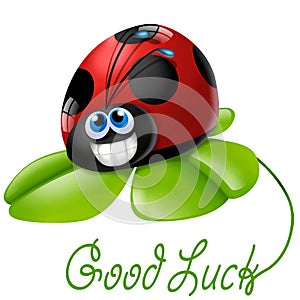 Ladybug with four-leaf clover
