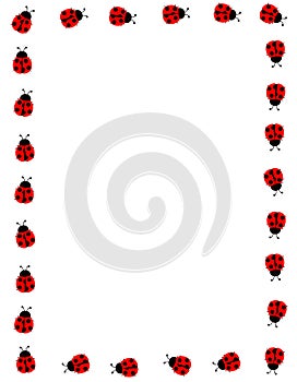 Ladybug frame