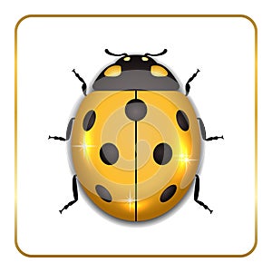 Ladybug gold insect small icon. Golden lady bug animal sign, isolated on white background. 3d volume design. Cute