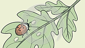 Ladybug on Green Leaf Vector Illustration, vector design Generative AI