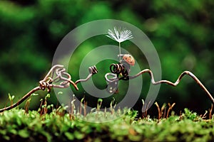 Ladybug on green moss with dandelion