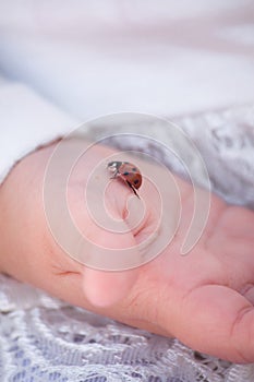 Ladybug on the hand of a child